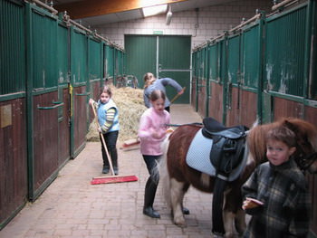 Reiterferien Bellheim