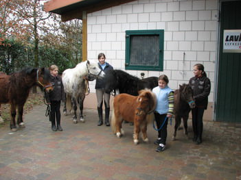 Reiterferien Bellheim